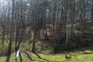 00 Saw Mill Hollow, Burnsville, NC 28714 - Photo 15