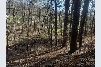 00 Saw Mill Hollow, Burnsville, NC 28714 - Photo 5