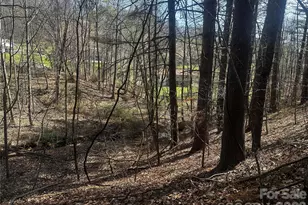 00 Saw Mill Hollow, Burnsville, NC 28714 - Photo 5