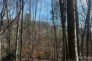 00 Saw Mill Hollow, Burnsville, NC 28714 - Photo 3