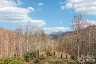 14 Chandra Ln, Clyde, NC 28721 - Photo 41