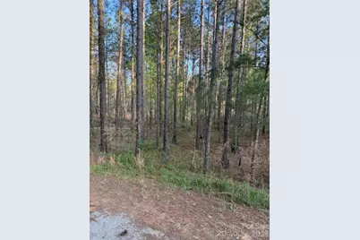 00 Clark Mountain Road, Lilesville, NC 28091 - Photo 3