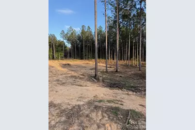 00 Clark Mountain Road, Lilesville, NC 28091 - Photo 11