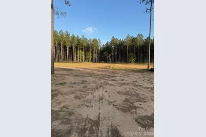 00 Clark Mountain Road, Lilesville, NC 28091 - Photo 7