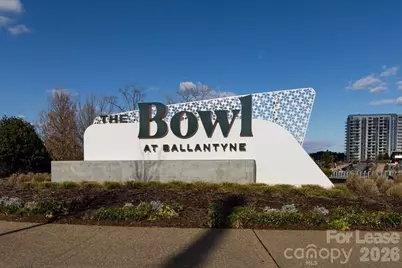 15041 Santa Lucia Drive, Charlotte, NC 28277 - Photo 25