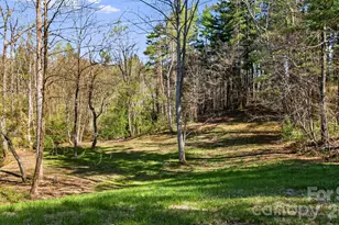 289 Riverview Church Rd, Asheville, NC 28806 - Photo 33