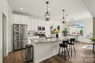 5023 American Bittern Ln, Charlotte, NC 28214 - Photo 3