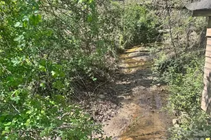 231 Pearidge Rd, Bostic, NC 28018 - Photo 25