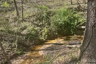 231 Pearidge Rd, Bostic, NC 28018 - Photo 21