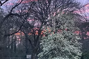 3960 Bristol Dr, Charlotte, NC 28208 - Photo 3