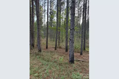 00 Spencer Pointe Road, Lilesville, NC 28091 - Photo 3