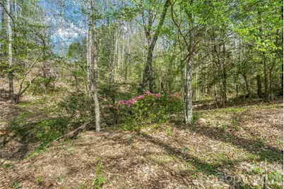 6047 Chaucer Lane, Granite Falls, NC 28630 - Photo 37