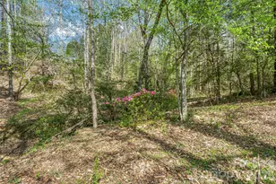 6047 Chaucer Ln, Granite Falls, NC 28630 - Photo 37