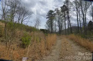 535 Old Newfound Rd, Leicester, NC 28748 - Photo 5