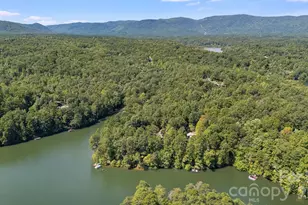 91 Island View Ct, Mill Spring, NC 28756 - Photo 43