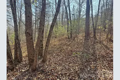 Vl Amberwood Place #17, Rutherfordton, NC 28139 - Photo 13