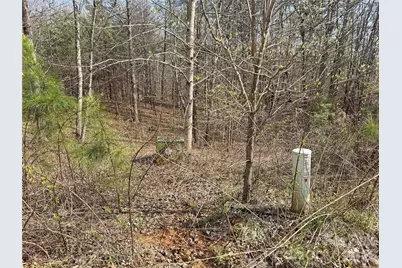 Vl Amberwood Place #17, Rutherfordton, NC 28139 - Photo 3