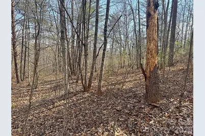 Vl Amberwood Place #17, Rutherfordton, NC 28139 - Photo 11