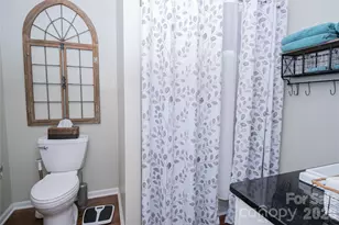 100 Horse Shoe Ln, Morganton, NC 28655 - Photo 31