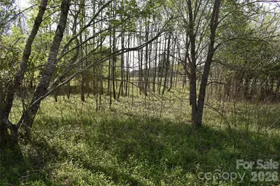 00 Malden Court, Crouse, NC 28033 - Photo 25