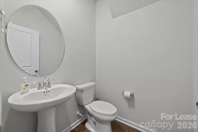 260 Abersham Drive, Mooresville, NC 28115 - Photo 19