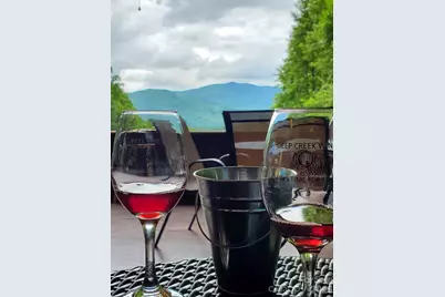 405 Johnathan Walk Road, Bryson City, NC 28713 - Photo 37