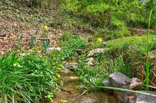 3 Ellenwood Dr, Asheville, NC 28804 - Photo 37