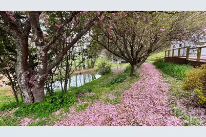 6334 Jacks Creek Road, Burnsville, NC 28714 - Photo 25