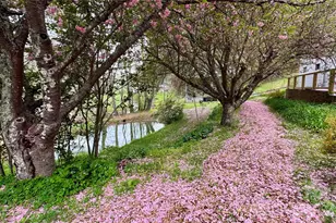 6334 Jacks Creek Rd, Burnsville, NC 28714 - Photo 25