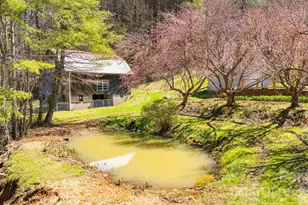 6334 Jacks Creek Rd, Burnsville, NC 28714 - Photo 37