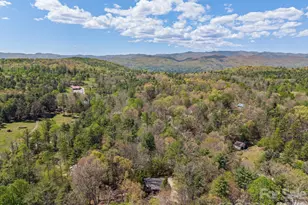 1263 See Off Mountain Rd, Brevard, NC 28712 - Photo 21