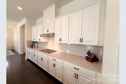 725 Kathy Dianne Drive, Indian Land, SC 29707 - Photo 11