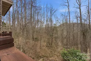 150 Saddle Notch Ln, Tuckasegee, NC 28783 - Photo 19