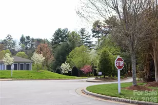 700 Vista Lake Dr, Candler, NC 28715 - Photo 37