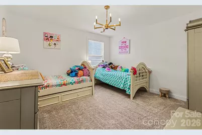 850 Coralbell Way, Fort Mill, SC 29708 - Photo 25