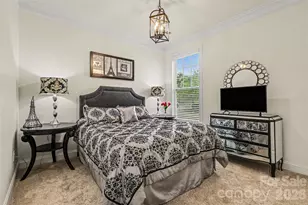 850 Coralbell Way, Fort Mill, SC 29708 - Photo 17