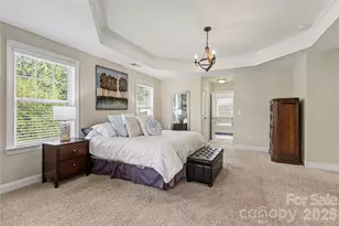 850 Coralbell Way, Fort Mill, SC 29708 - Photo 19