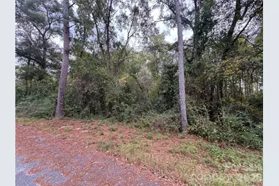 00 Ellen Drive, Hamlet, NC 28345 - Photo 3