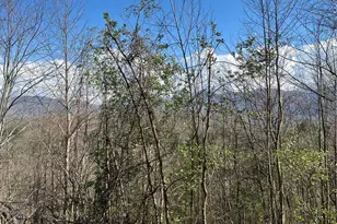 150 Combo Ct, Waynesville, NC 28786 - Photo 17