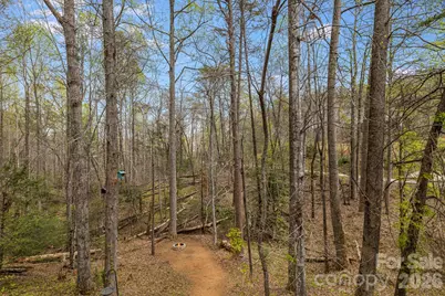 517 Pheasant Street, Lake Lure, NC 28746 - Photo 25