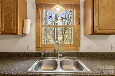 517 Pheasant Street, Lake Lure, NC 28746 - Photo 9