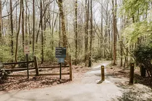 6809 Tara Dr, Charlotte, NC 28211 - Photo 19