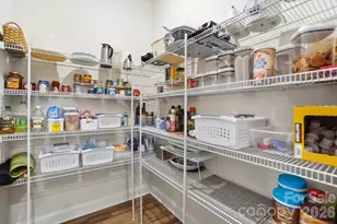 905 Raffaelo View, Mount Holly, NC 28120 - Photo 15