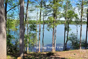 905 Raffaelo View, Mount Holly, NC 28120 - Photo 3