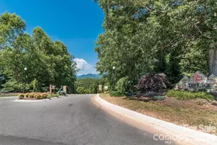 31 Grizzly Dr, Leicester, NC 28748 - Photo 45