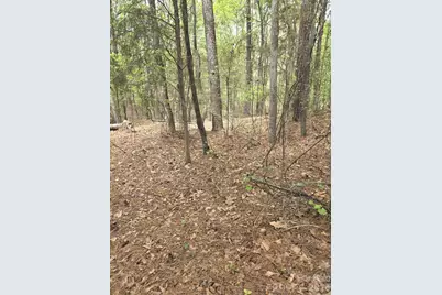 2093 Lometa Road, York, SC 29745 - Photo 3