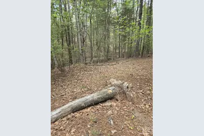 2093 Lometa Road, York, SC 29745 - Photo 5