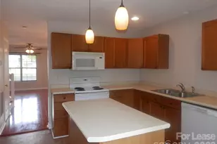 12732 Spirit Bound Way, Charlotte, NC 28273 - Photo 9