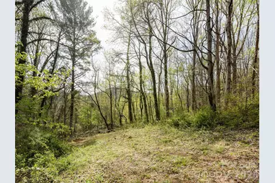 91 Rice Branch Road, Asheville, NC 28804 - Photo 29