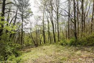 91 Rice Branch Rd, Asheville, NC 28804 - Photo 29